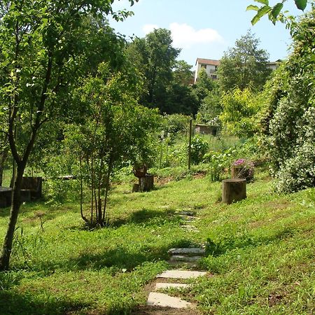 Appartamento In Monferrato Di Dominga Portacomaro Zewnętrze zdjęcie