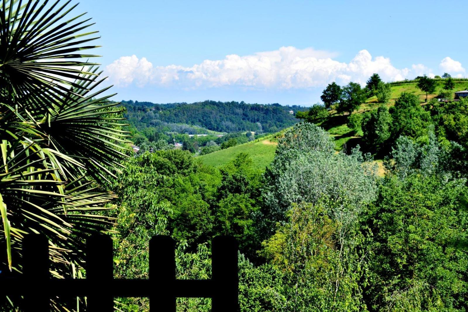 Appartamento In Monferrato Di Dominga Portacomaro Zewnętrze zdjęcie