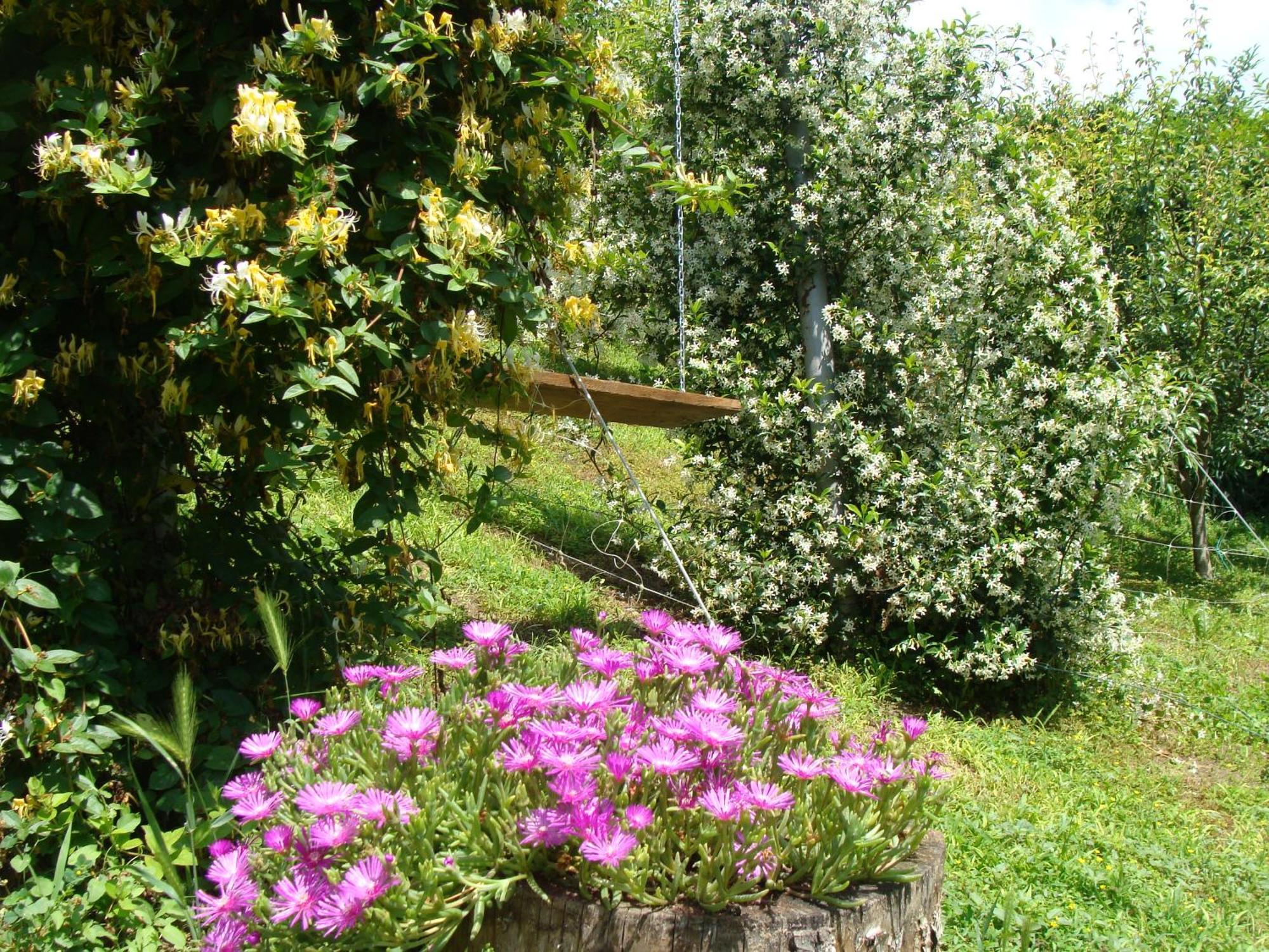 Appartamento In Monferrato Di Dominga Portacomaro Zewnętrze zdjęcie