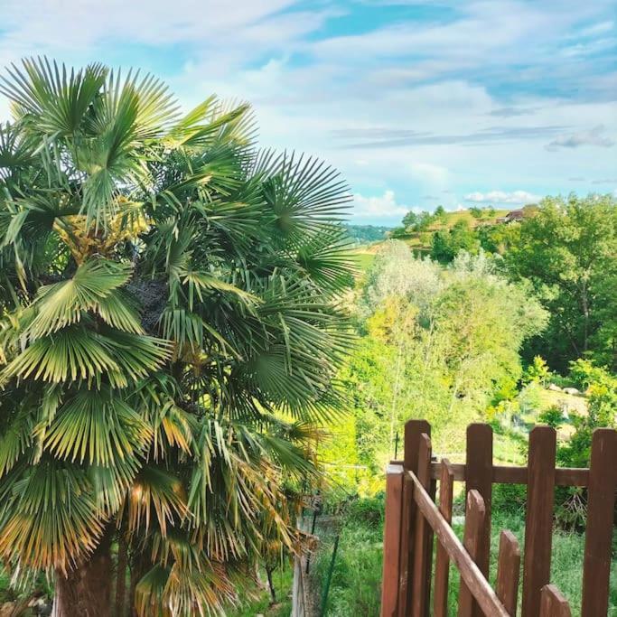 Appartamento In Monferrato Di Dominga Portacomaro Zewnętrze zdjęcie
